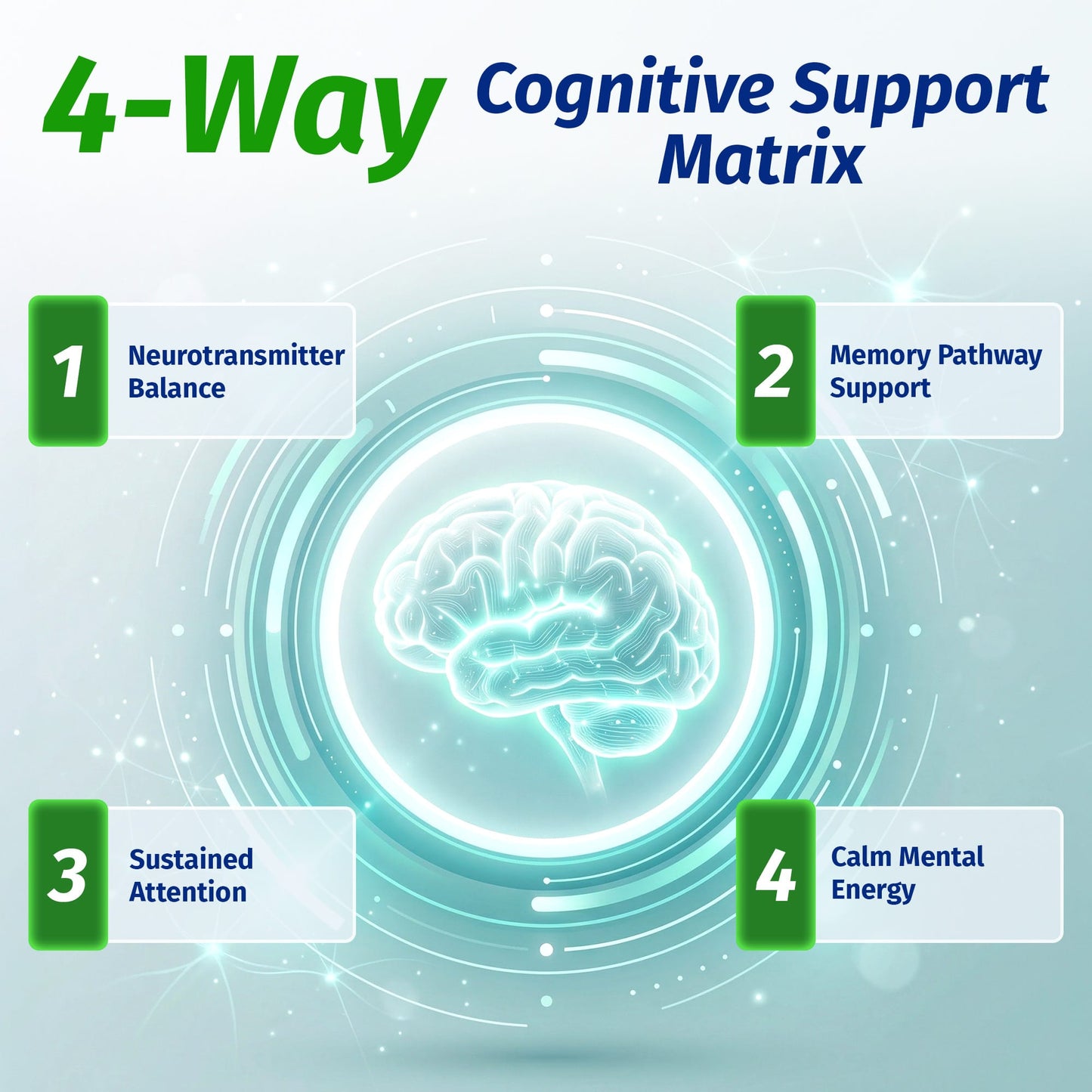 Brain Support