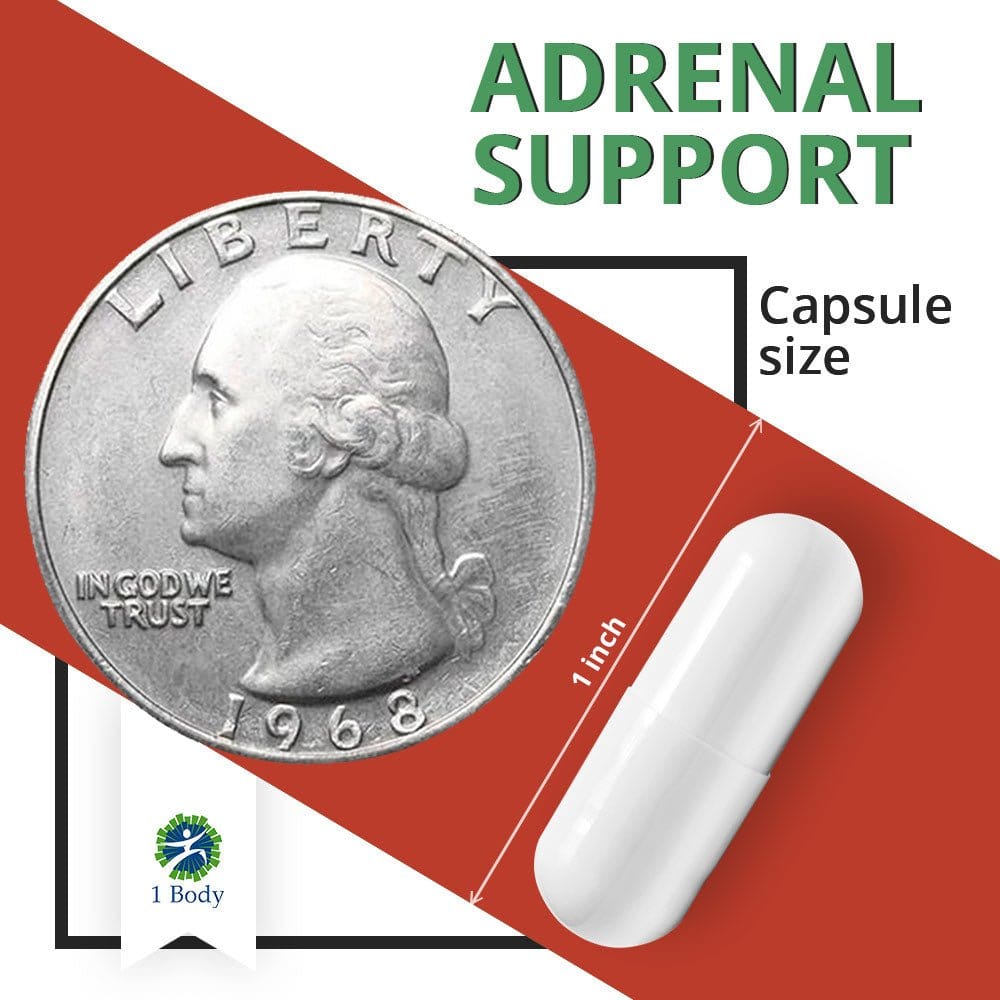 Adrenal Support - 3 Bottles ~ 25% OFF - 1 Body