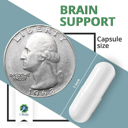 Brain Support Capsule