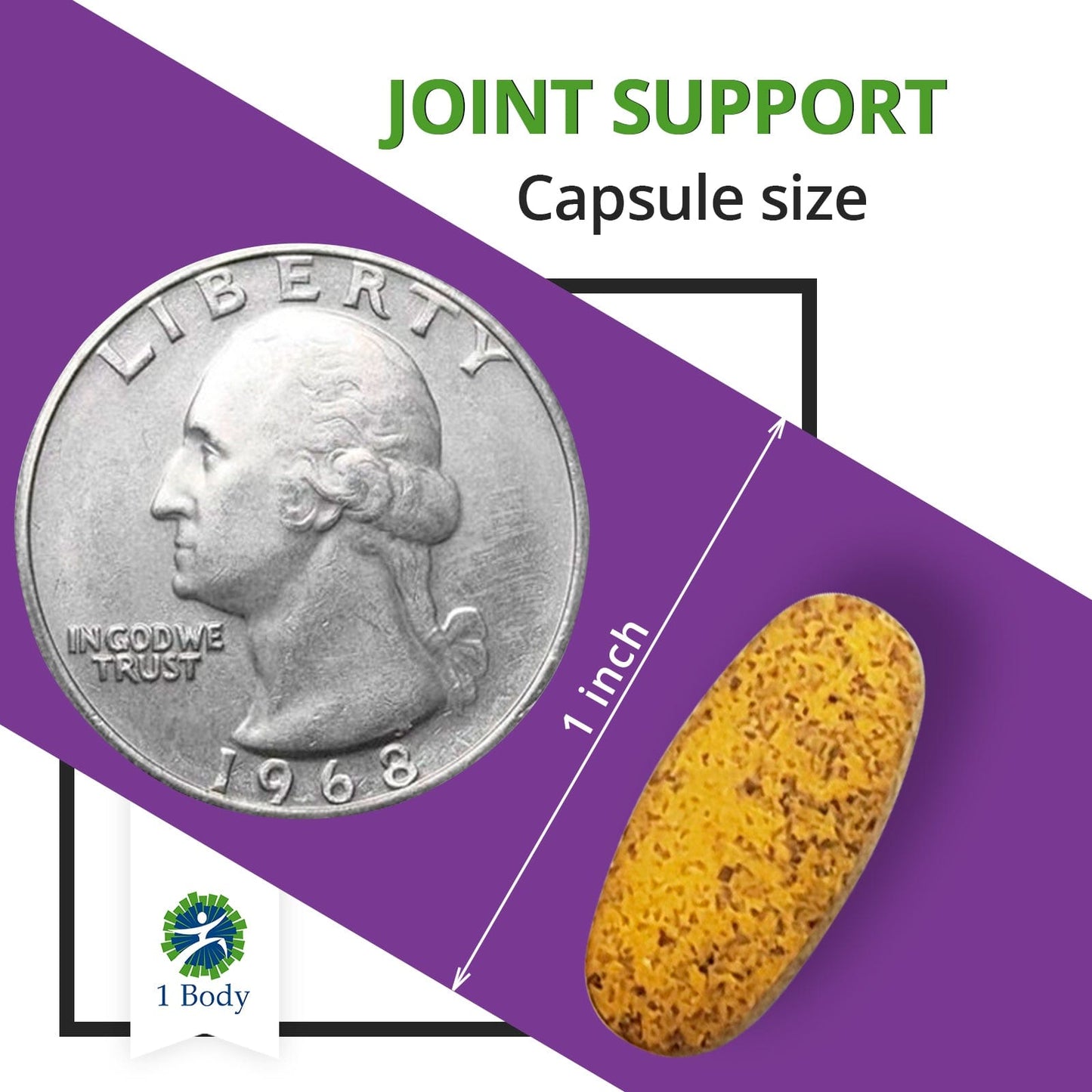 Joint Support Supplement 