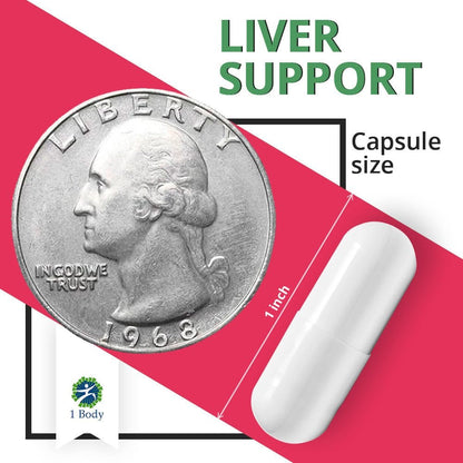 Liver Support ~ 6X Bundle - 1 Body
