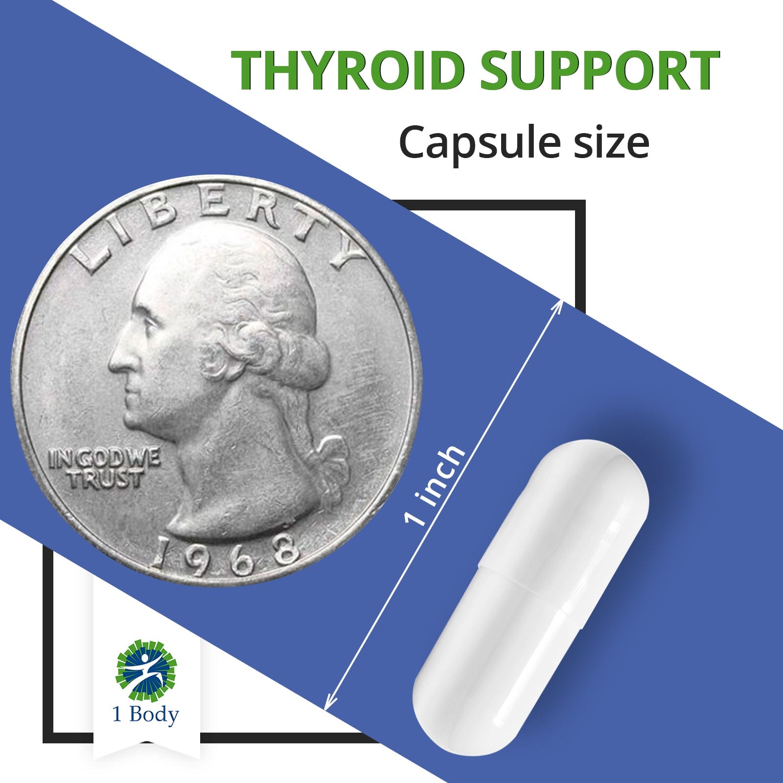 Thyroid Support - 4 bottles 30 Day Protocol - 1 Body